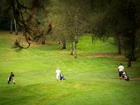 web Reply Golf Day2-29 (2)
