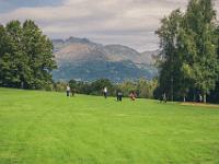 web Golf Reply-17